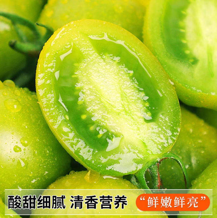 山东小番茄绿色圣女果礼盒青甜2号 净重4斤单果8g+源头直发