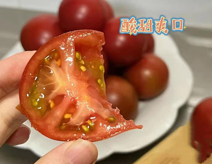 瓦大1号西红柿沙瓤老品种老味道番茄自然熟生吃新鲜农家自种蔬菜