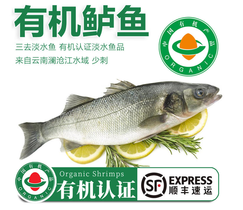 太湖海【无抗或有机认证 淡水鲈鱼】孕妇婴儿童食辅 鲜活三去鱼